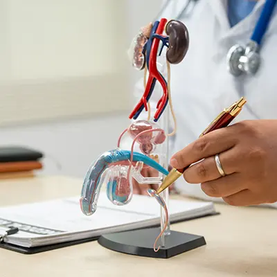 Nephrology