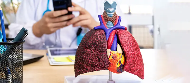 Diabetology & Endocrinology