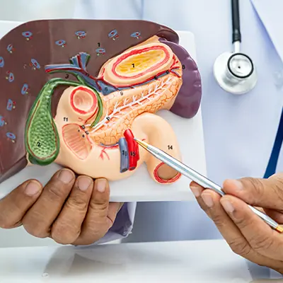 Urology